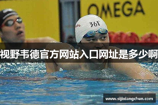 视野韦德官方网站入口网址是多少啊